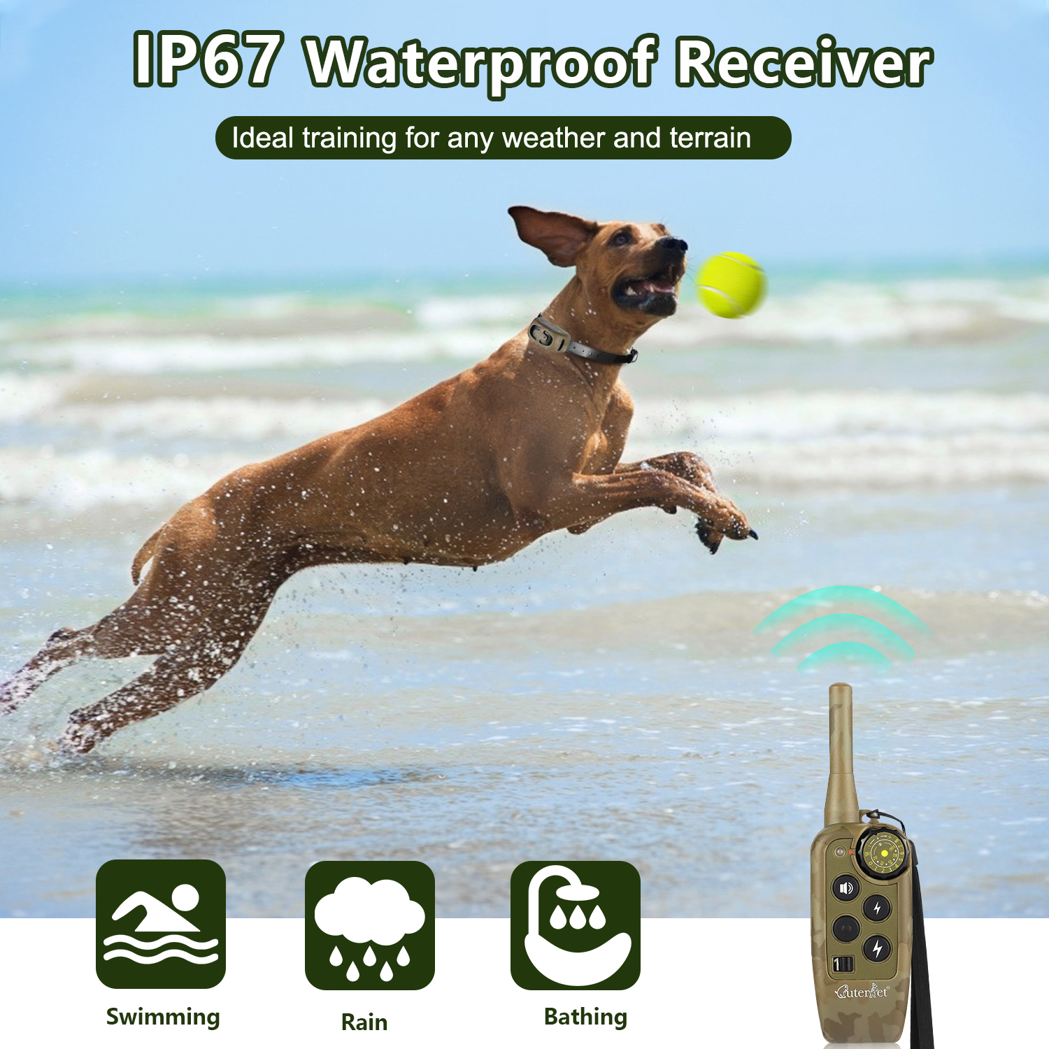 1000m Electric Dog Training Co - Hot Dog Press recension och pris