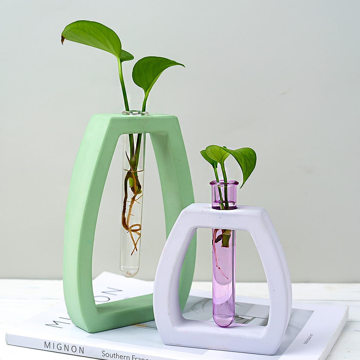 Hydroponic Test Tube Vase Sili - Potsticker Mold recension och pris